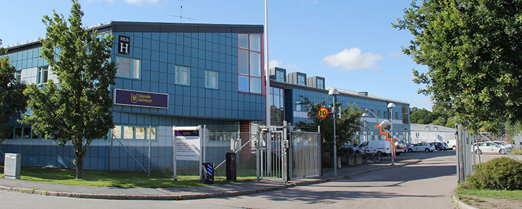 Sågargatan 17, en blå byggnad med ett träd och en flaggstång framför.