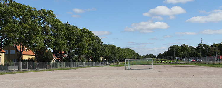 Fålhagens idrottsplats - grusfotbollsplan med träd till vänster om planen.